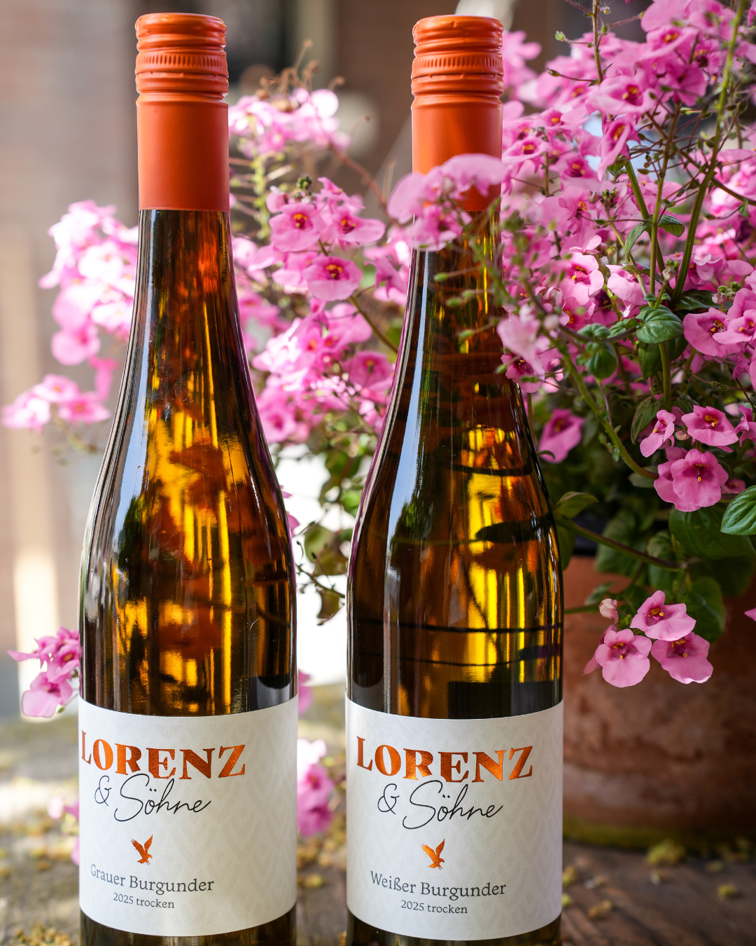 Aanbieding Lorenz - 6 flessen Weisserburgunder