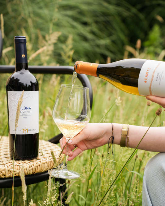 Aanbieding Pilùna Primitivo (6 stuks)